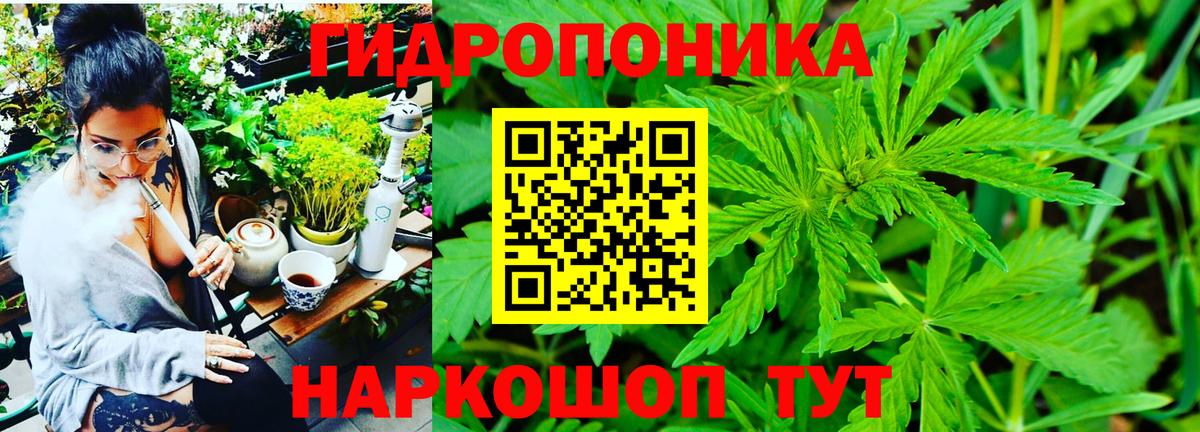 Каннабис Bruce Banner Учалы